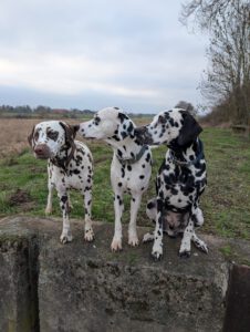 WhatsApp Image 2026-02-10 at 20.04.30