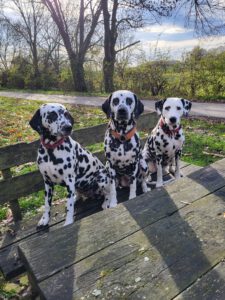 WhatsApp Image 2026-02-10 at 20.05.22