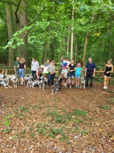 WhatsApp Image 2026-02-10 at 20.07.52 (1)