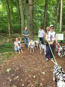 WhatsApp Image 2026-02-10 at 20.07.52