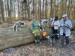 WhatsApp Image 2026-02-10 at 20.08.34