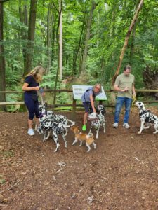 WhatsApp Image 2026-02-10 at 20.09.57