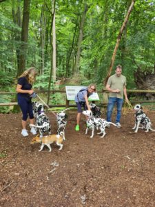 WhatsApp Image 2026-02-10 at 20.31.57