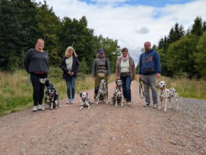 WhatsApp Image 2026-02-10 at 20.32.47